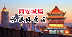 搞逼网站啊啊大鸡吧好爽中国陕西-西安城墙旅游风景区