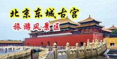 樣鱉鱉中国北京-东城古宫旅游风景区